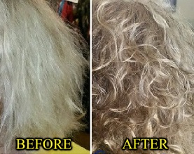 Picture of a hair repair strengthening treatment at Need A Haircut in Ripley MS